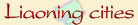 Liaoning adoption city and hometown gifts Liaoning China cities