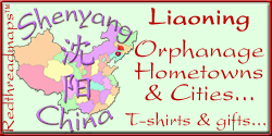 Liaoning city and hometown t-shirts and gifts